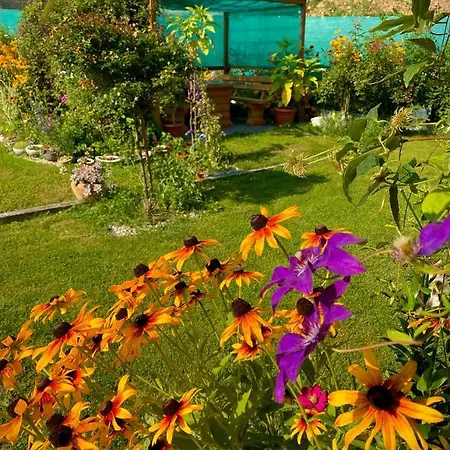Family Flower House Sarajevo Exterior photo