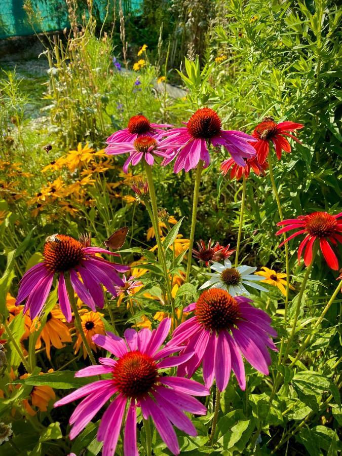 Family Flower House *