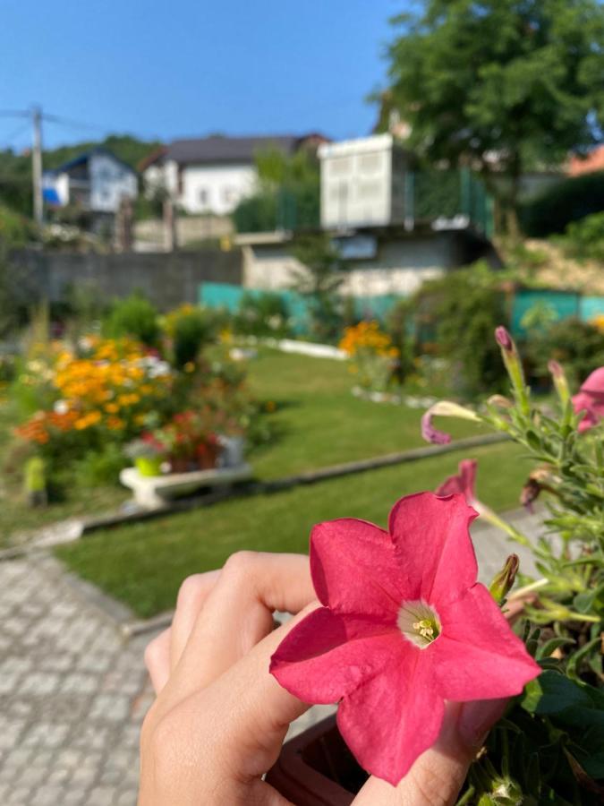 Počitniška hiša Family Flower House *