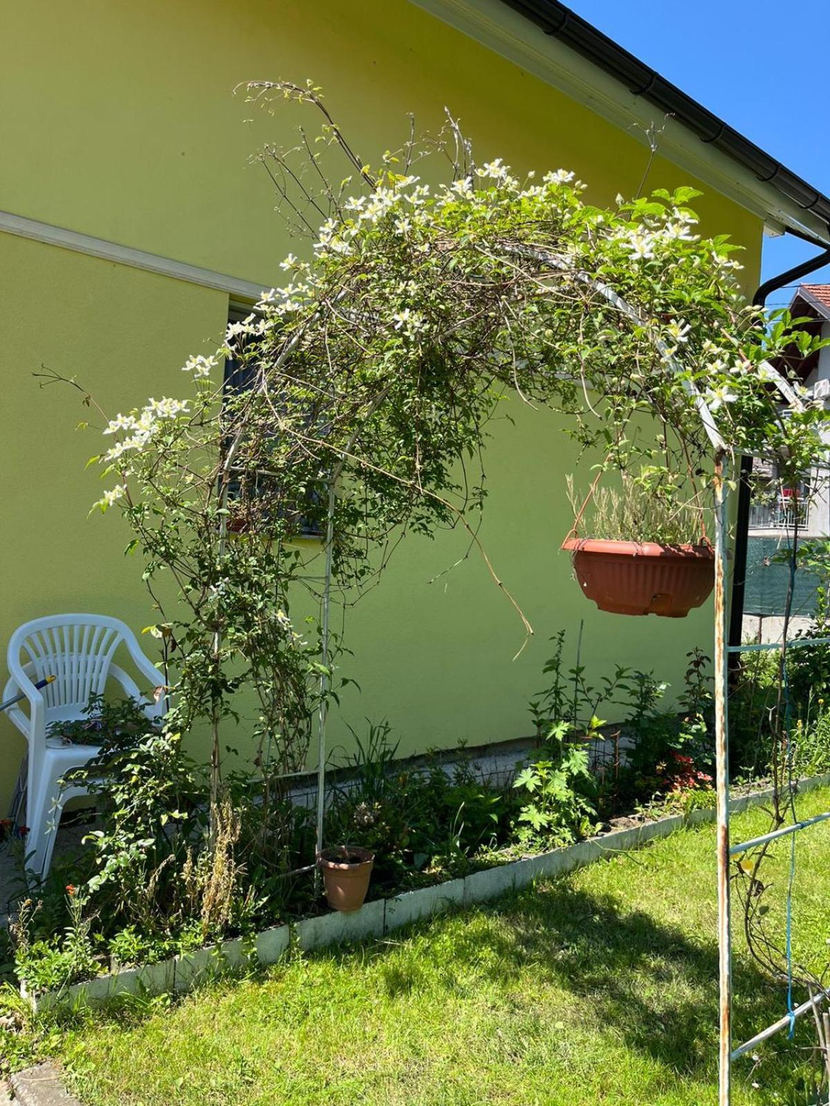 Počitniška hiša Family Flower House *