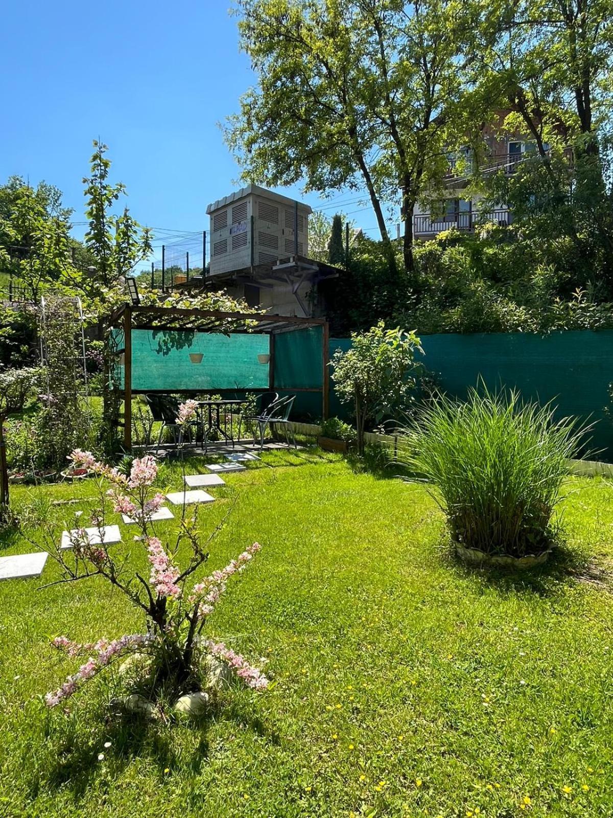 Počitniška hiša Family Flower House *